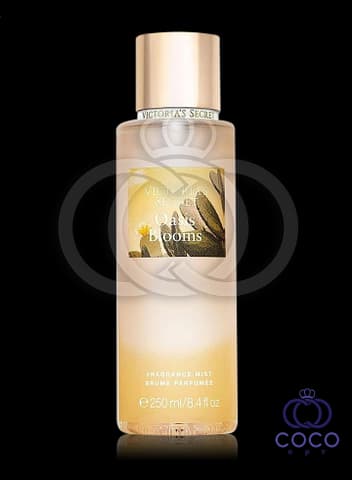 Парфумований спрей для тіла Victoria`s Secret Oasis Blooms 250 ml - зображення 1